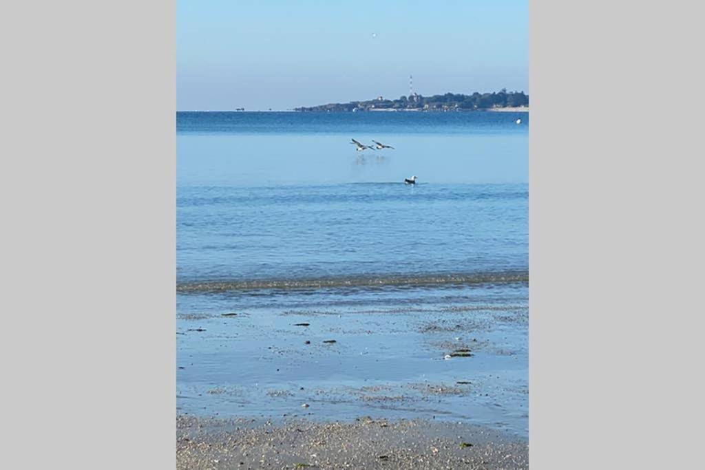 Cap Coz Sea Side Fouesnant Apartment Bagian luar foto